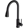 Kuchyňská baterie Alveus Primrose - PS Black 91 Kuchyňská baterie Alveus Primrose - PS Black 91