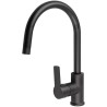 Kuchyňská baterie StrongSinks S3 Loira Černá matná